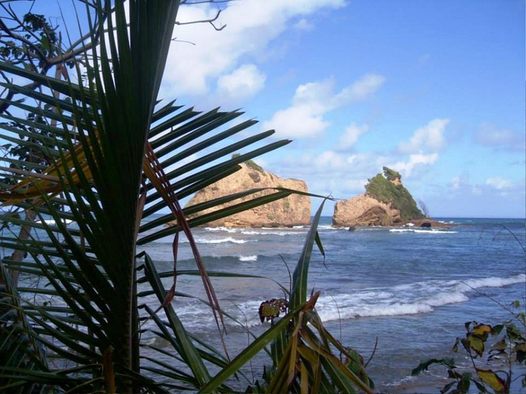 Calibishie Sandbar Quarto foto